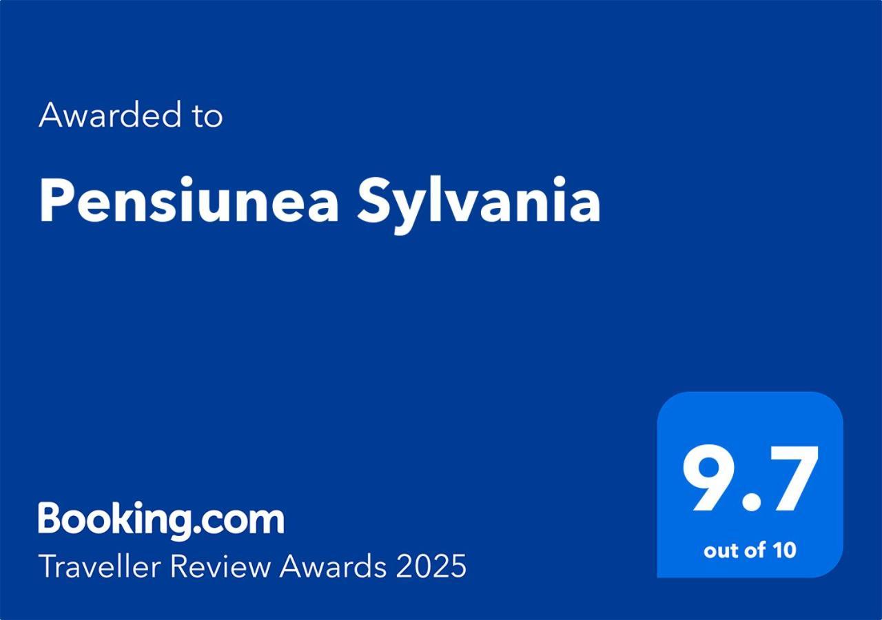 Pensiunea Sylvania Совата Екстериор снимка
